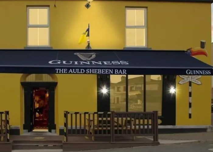 The Canalside At The Auld Shebeen Bar 住宿加早餐酒店 阿赛